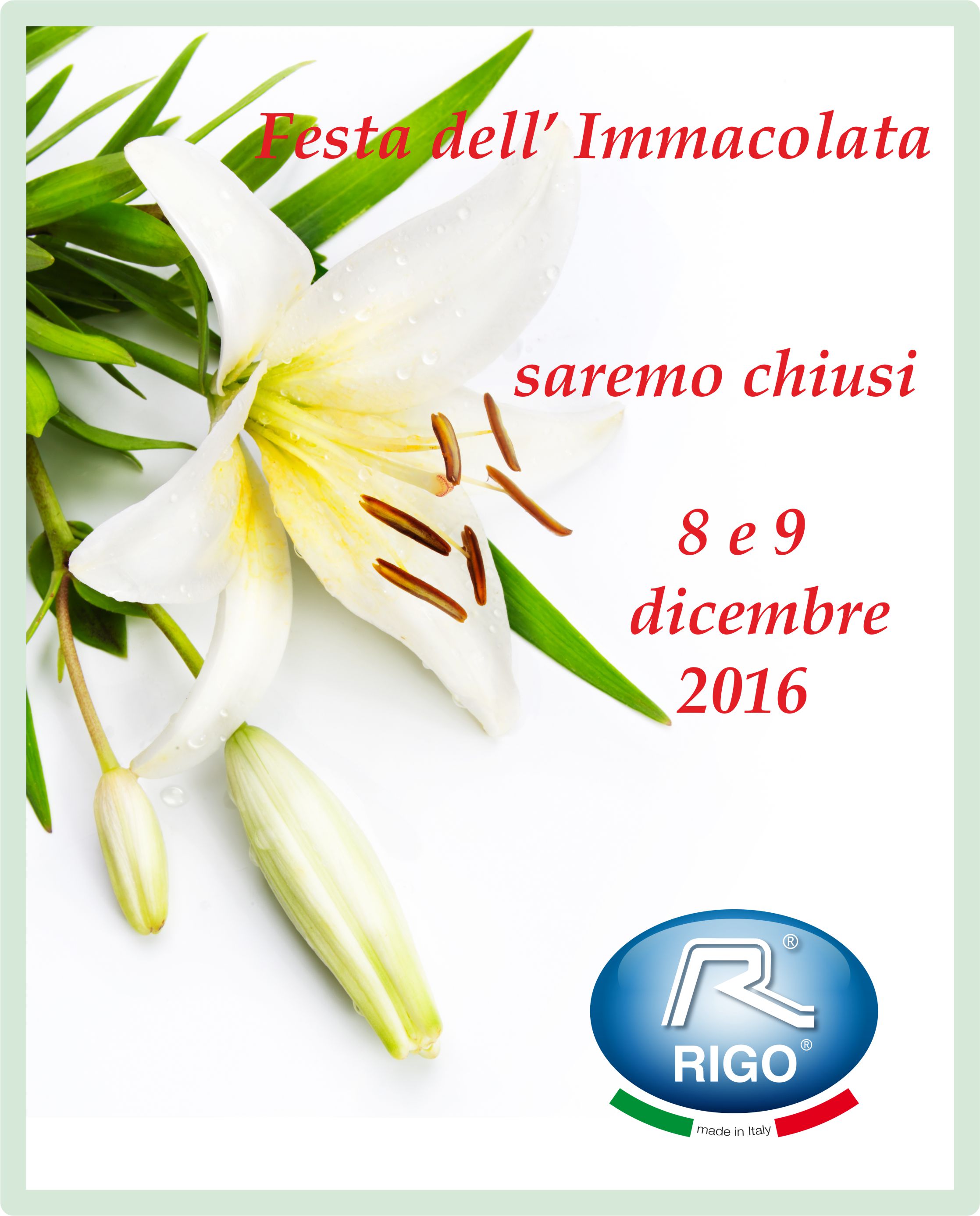 Rigo-festa-dell-Immacolata2016