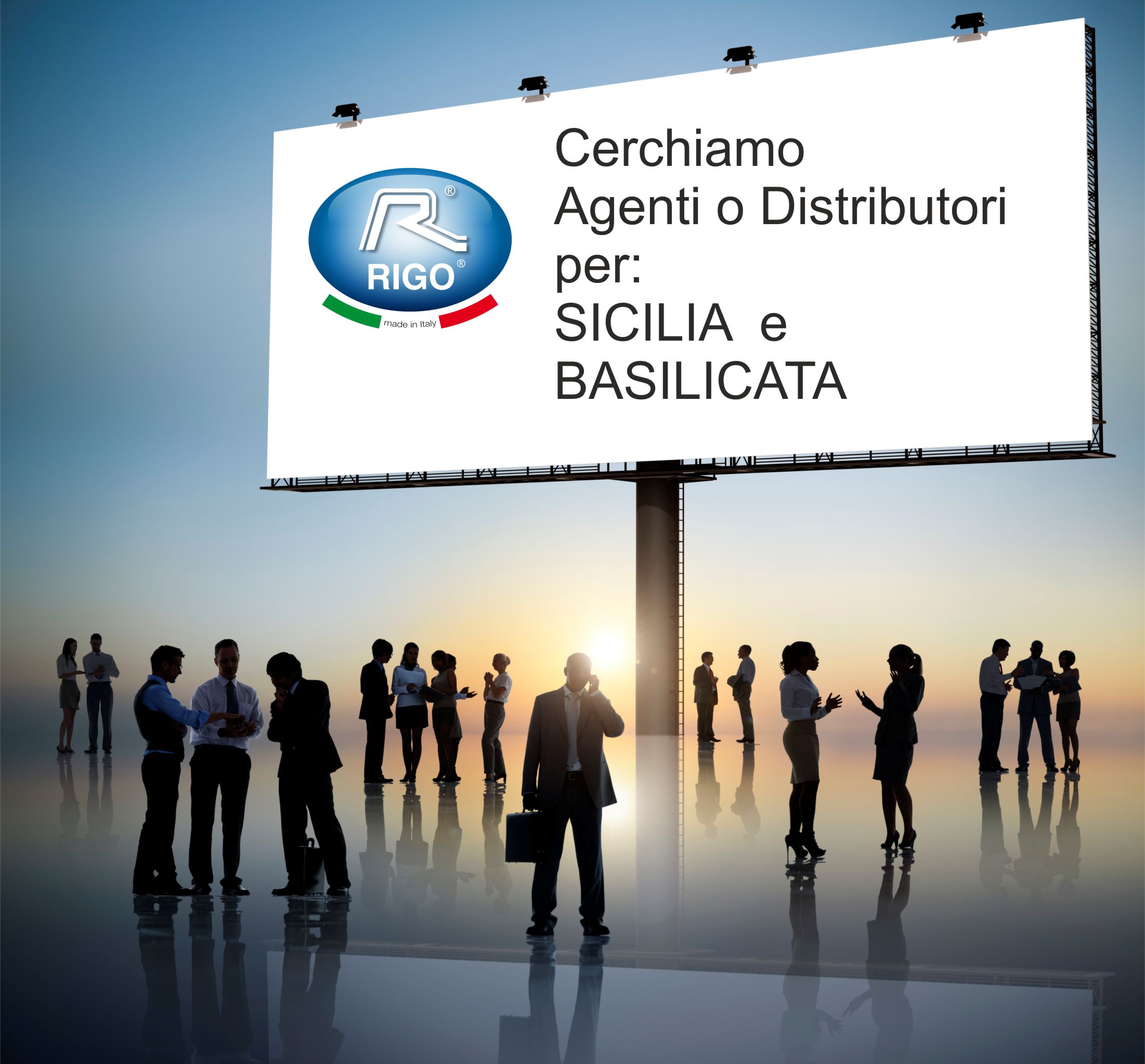 webdistributoriagenti